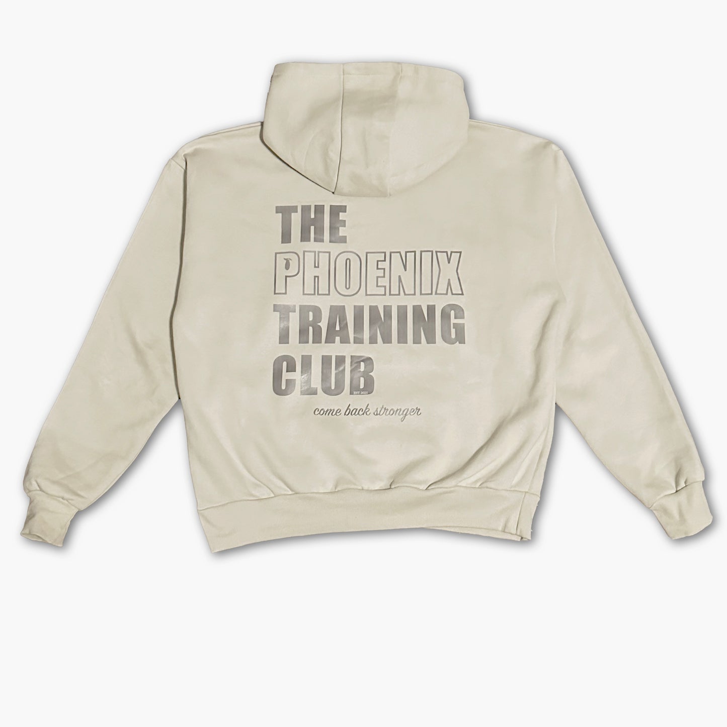 P.T.C Oversized Hoodie - SAND (BEIGE)